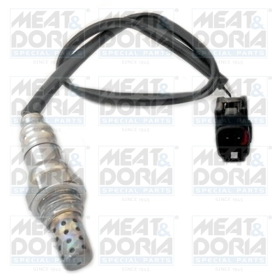 Oxygen Sensor